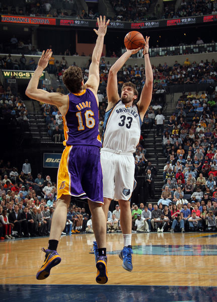 四强的选手 四强的选手