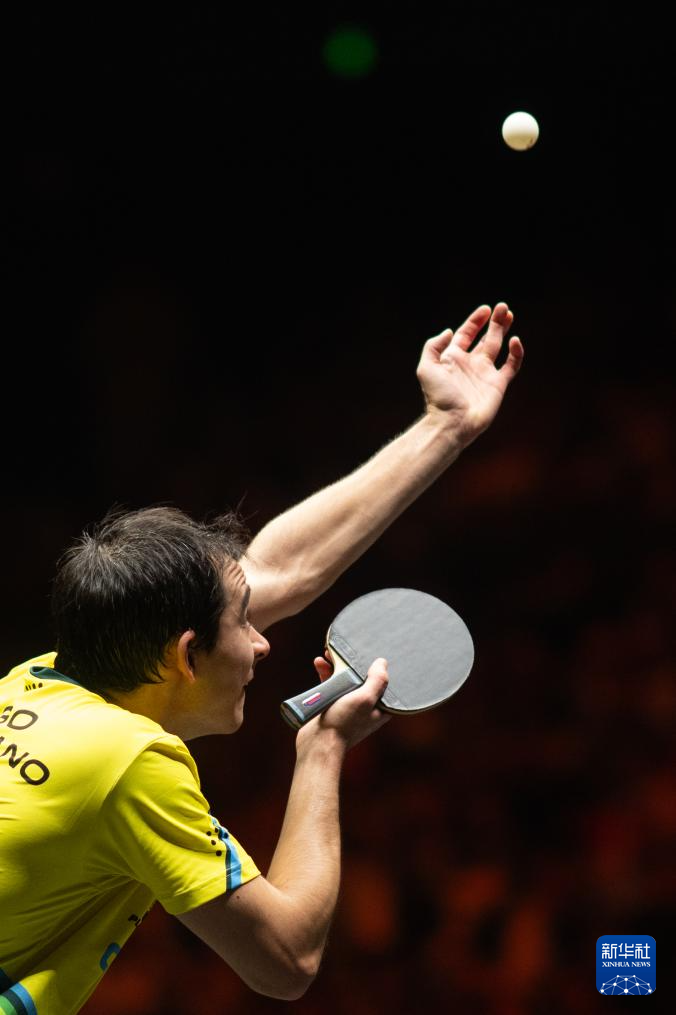 蒂在关键比 蒂在关键比