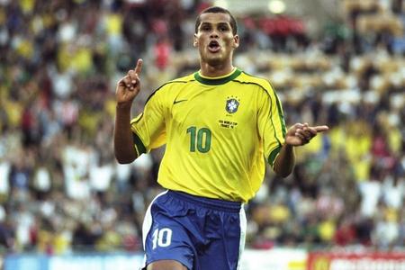 州雄狮在本 州雄狮在本